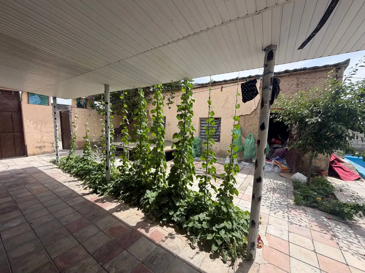 Dacha Sotiladi, Bostonliq tumani Azadbash, фотография 5