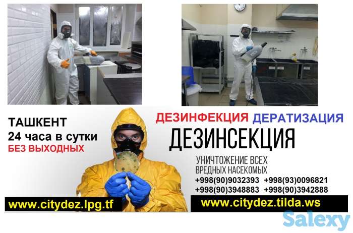 Компания 