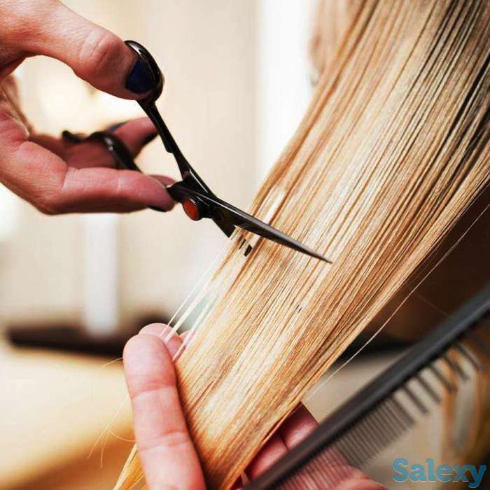 Профессиональные курсы. Школа  Успеха, фотография 4