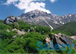 путёвкм на отдых, фотография 8