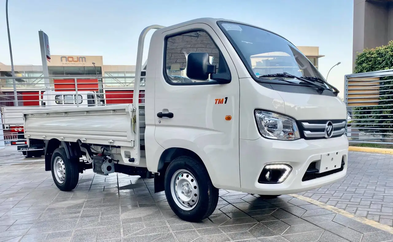 FATON  Gratour TM300 2 SEATS    2 местный, фотография 1