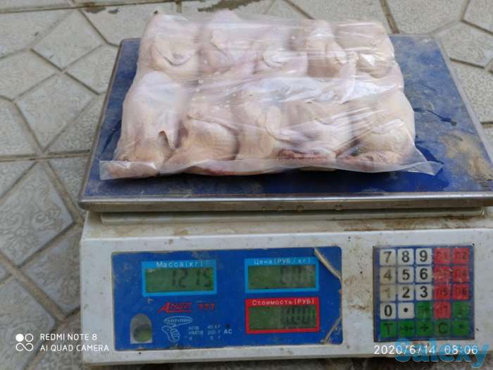 Bedana gusht, фотография 1