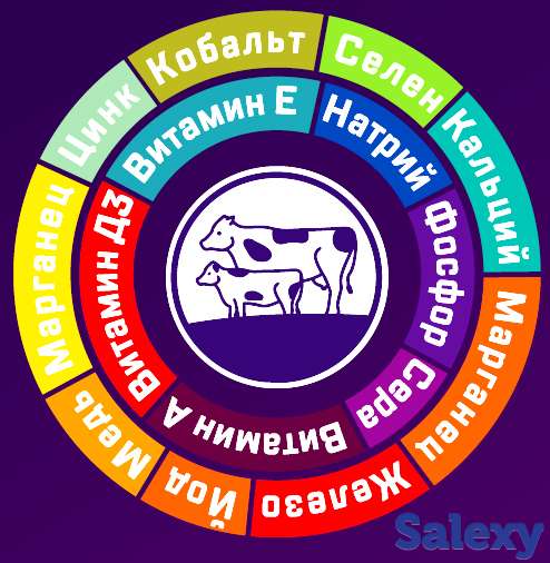 Надёжная защита здоровья быков, коров и овец, фотография 2