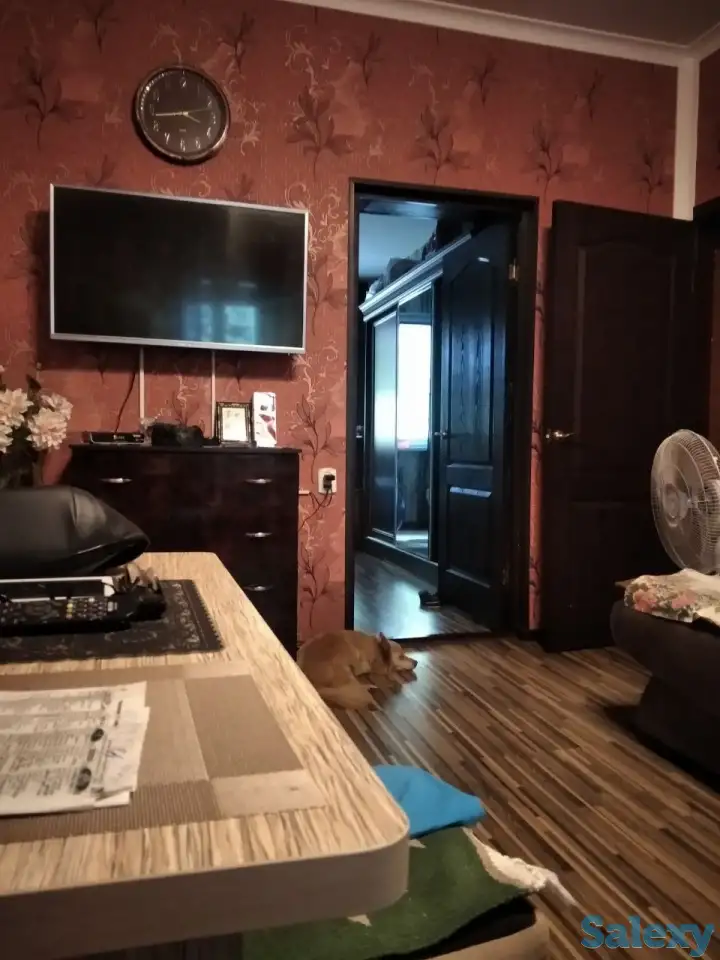 Чиланзар-19; Макаронка; 2(3)-комнатная,2/4,50 м²,зеркалка, ремонт, фотография 2