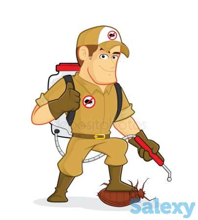 Дезинфекция, дезинсекция, дератизация, фотография 2