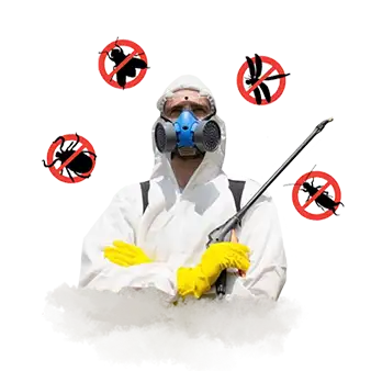 Услуги Дезинфекция, фотография 3