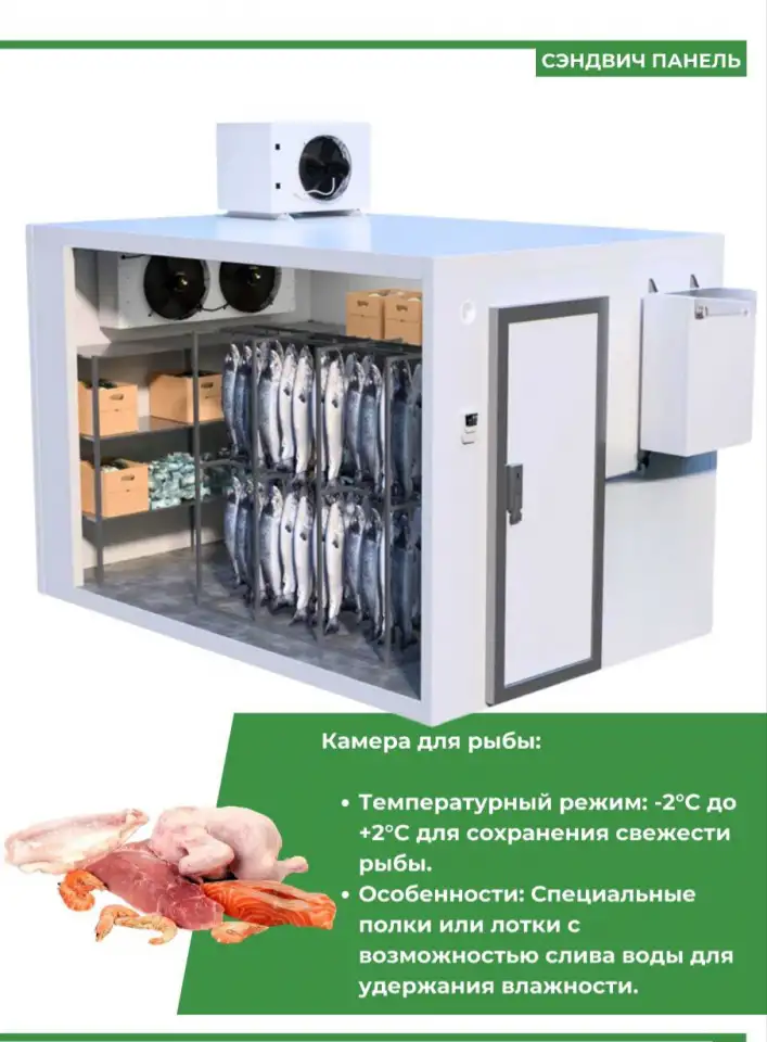 Строительство холодильных камер с нуля, фотография 2