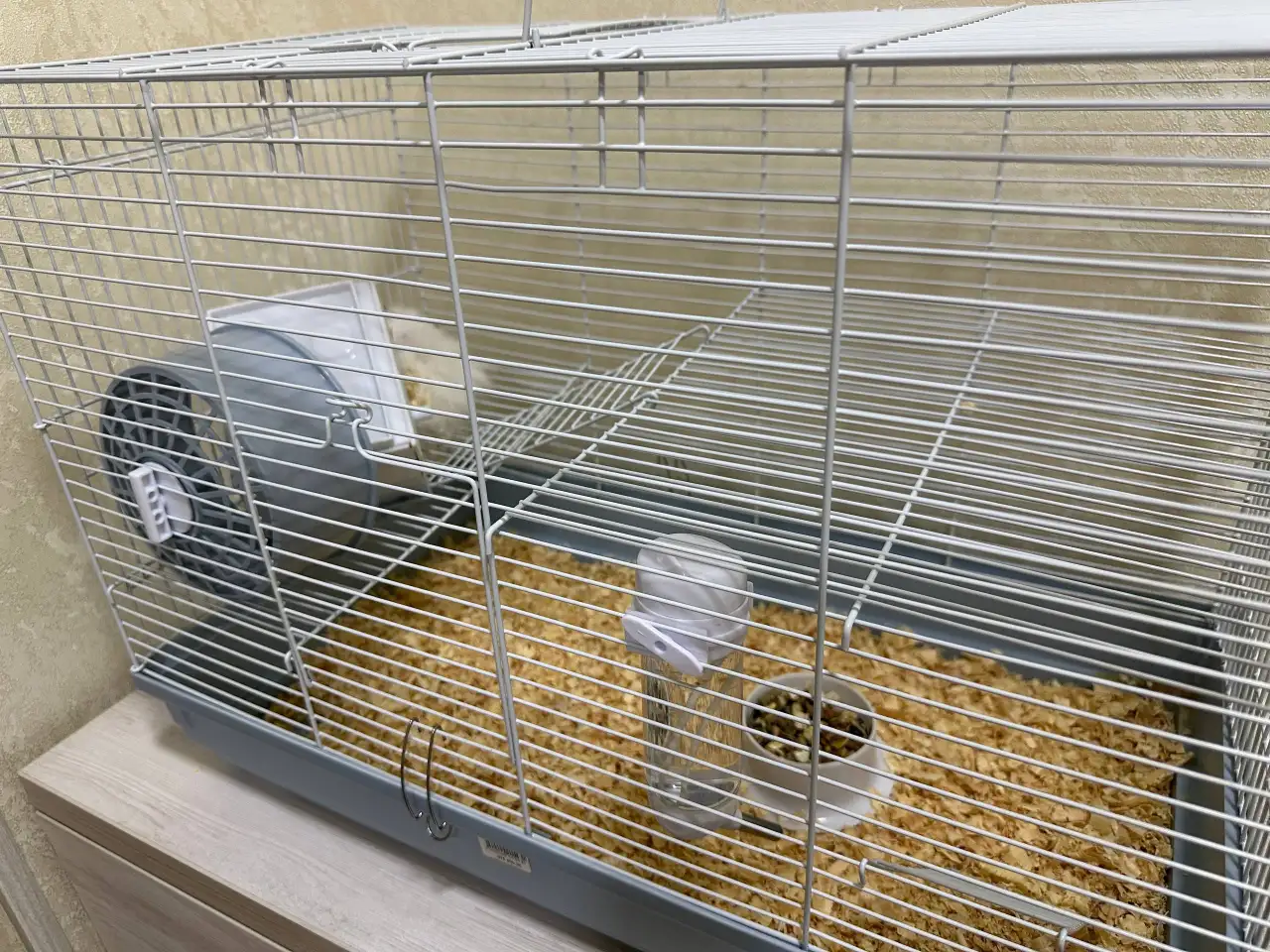 Продается хомяк, фотография 3