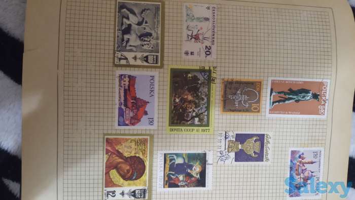 Маркигг., фотография 4