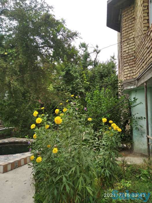 Коттедж практически в Ташкенте, Ташгрэс, фотография 3