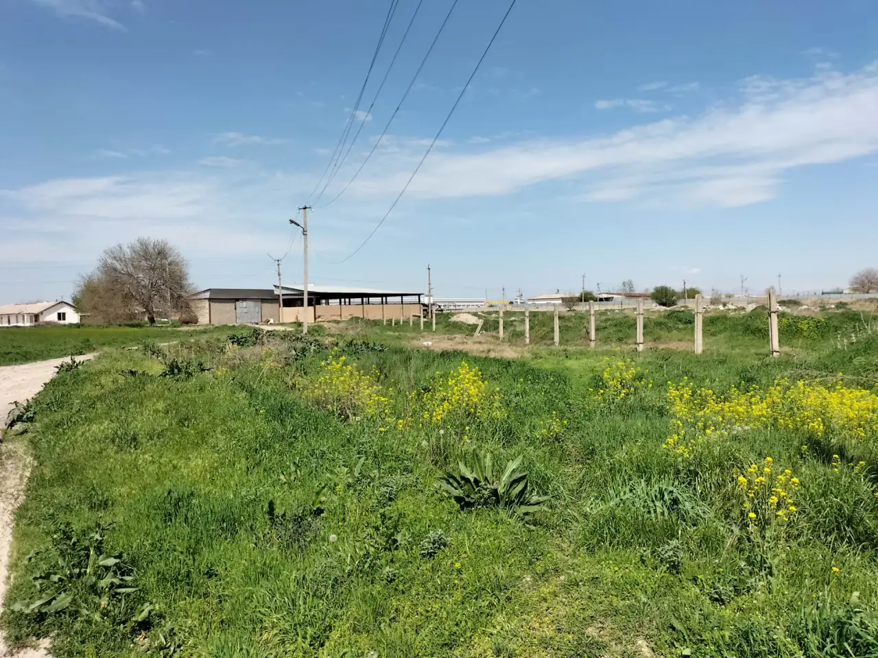 10 га Новый Ташкент, фотография 4