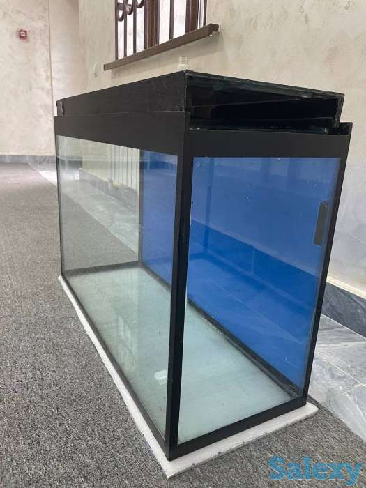 Akvarium, фотография 3