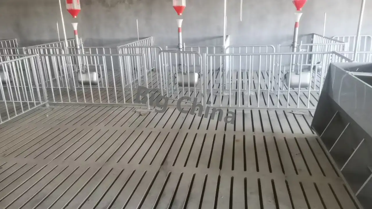 Оборудование Big Ducthman для свинокомплекса по выращиванию свиней из Китайского производителя., фотография 11