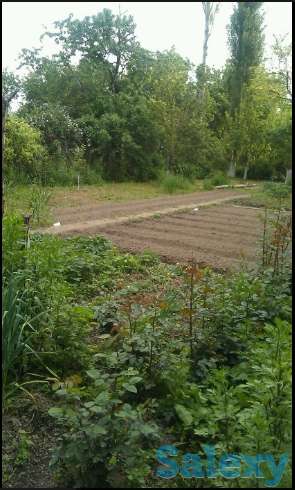 Продаётся Дача в Ангрене!, фотография 2