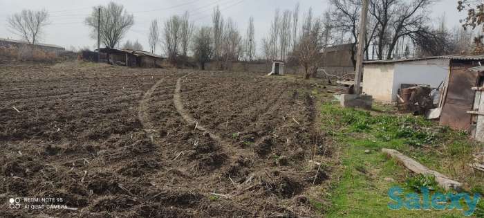 Земульный участок в Уртасарае 1 Га (100соток), Таш.обл. посёлок Уртасарай, фотография 5