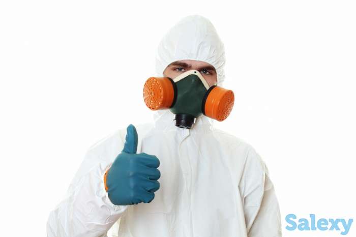 Дезинфекция, Дезинсекция, Дератизация, фотография 1