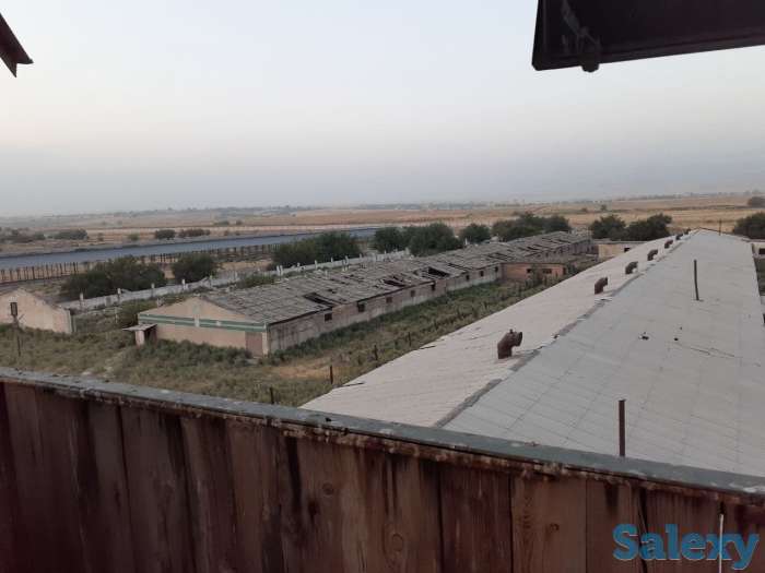 Срочно ! Продается ферма в Ахангарнаском районе, фотография 4