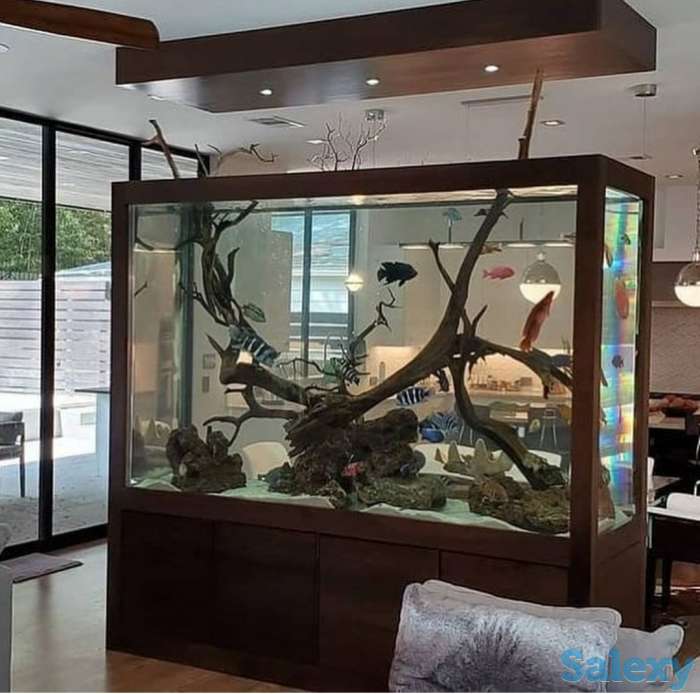 чистка аквариум по доступным ценам, фотография 4