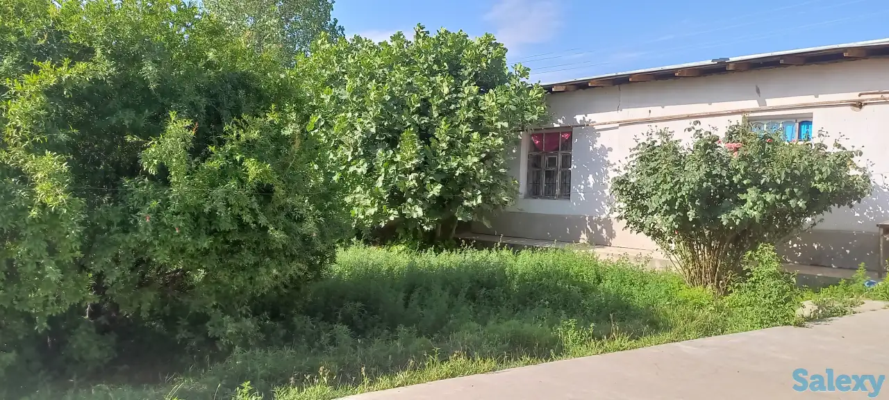 Продаётся, дом!, Город самарканд,пастдаргомский район посёлок Караганда! Орентир 72 школа!, фотография 12