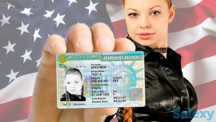 Услуги по заполнению и онлайн отправке анкет ГРИН КАРТ., фотография 1