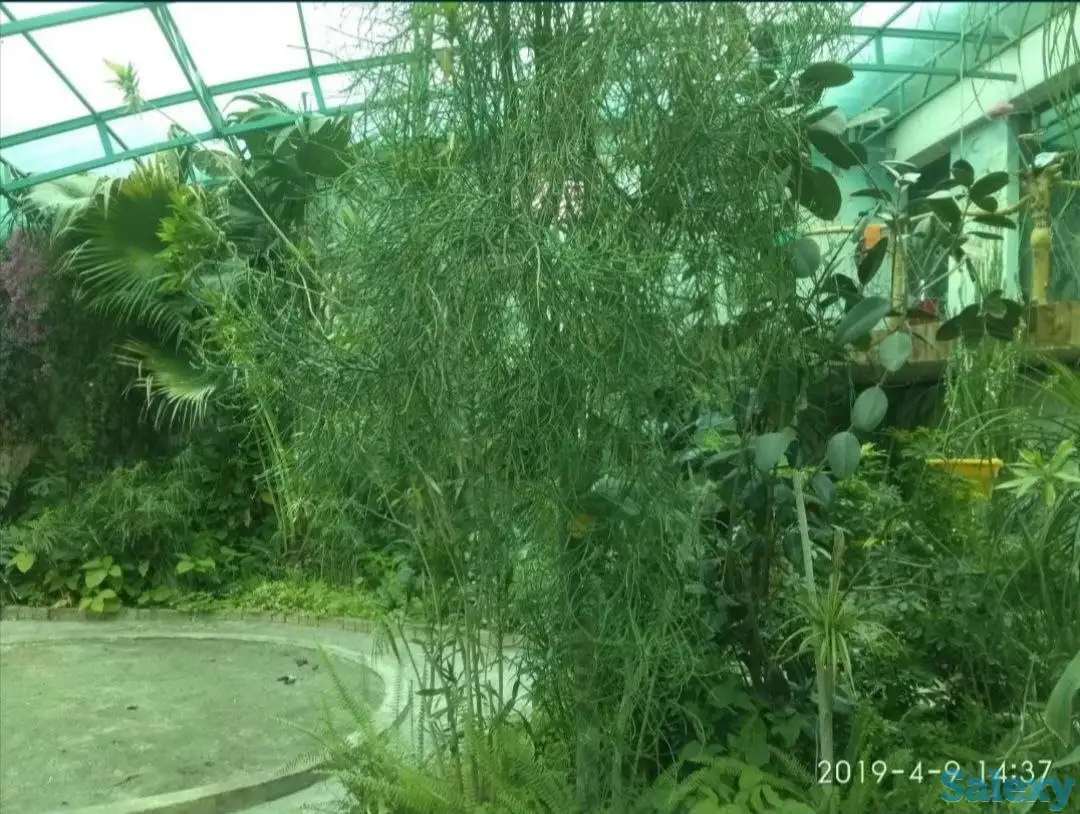 Продаётся участок в Яшнабадском районе, фотография 4