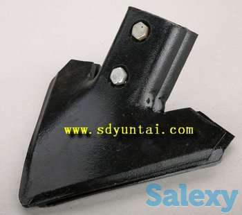 Лапа стрельчатая, фотография 3