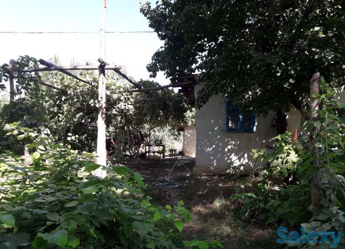 Продам Дачу, Ташкентская область, фотография 2