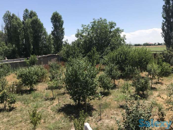 Частный дом на продажу с большим участком 12 соток, фотография 3