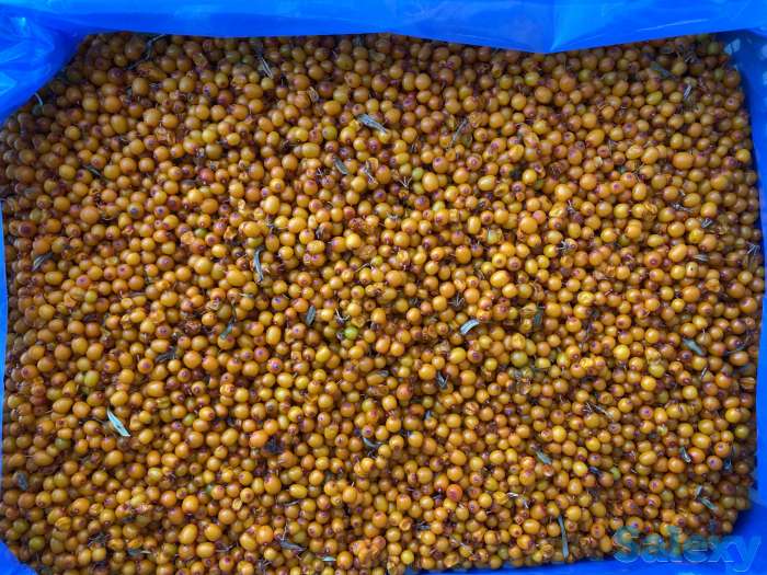 Замороженные фрукты и ягоды, фотография 2