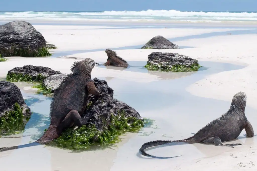 Индивидуальные туры, фотография 2