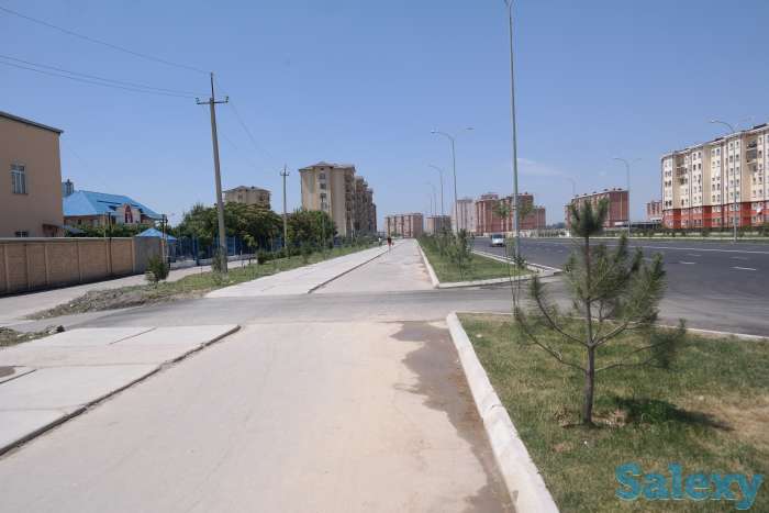 Аренда, Узбекистан, Янгихаётский район, махалля Янги Турмуш, фотография 2