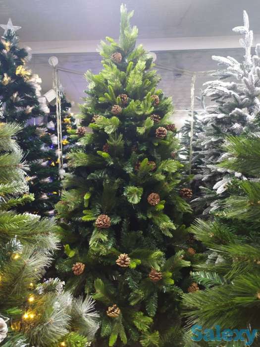 Елки 1 м - 25 м, фотография 3