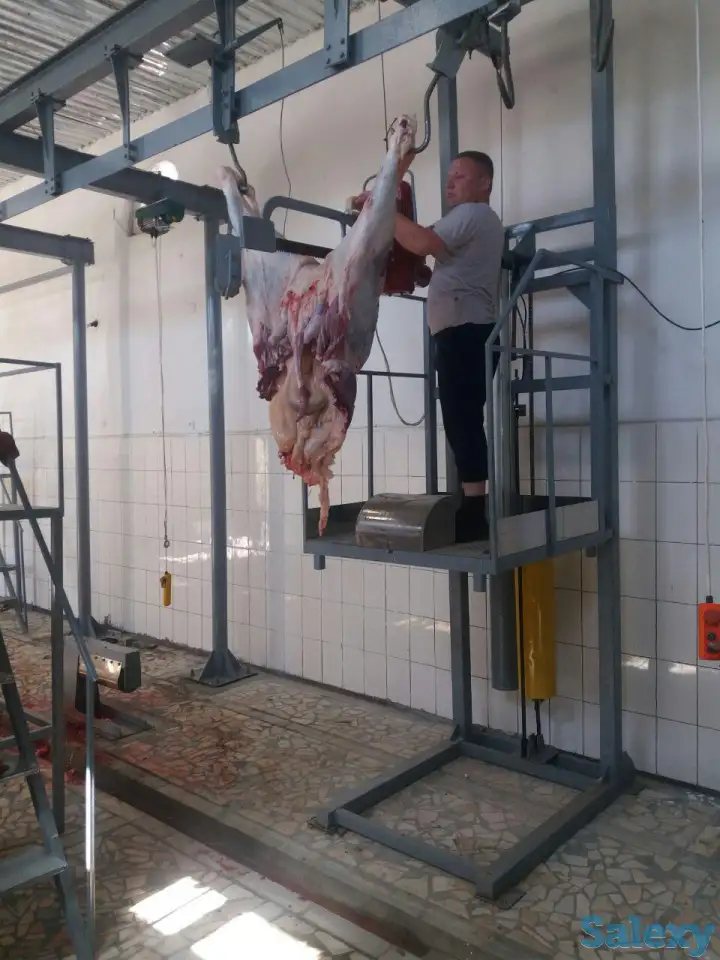Оборудование для скотобойни (мясобойня) производительностью 20 голов в смену, фотография 5