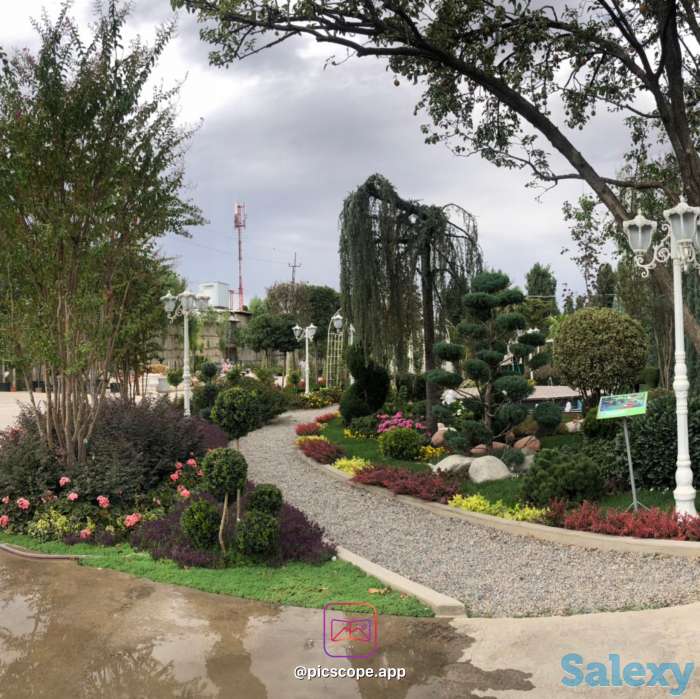 Растения и ландшафтный дизайн от компании Bahor Gullari!, фотография 2