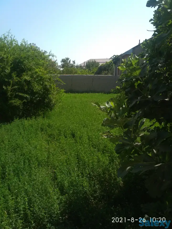 Продаётся, дом!, Город самарканд,пастдаргомский район посёлок Караганда! Орентир 72 школа!, фотография 2