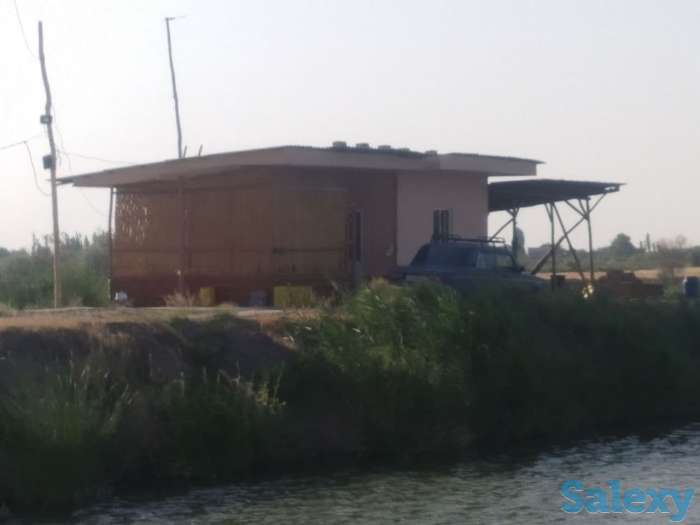 Рыбхоз Алимкент. 11 гектар. готовый рабочий пруды, фотография 2