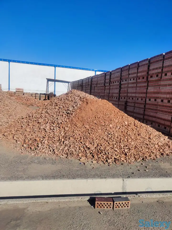 Кирпичная крогка, фотография 1