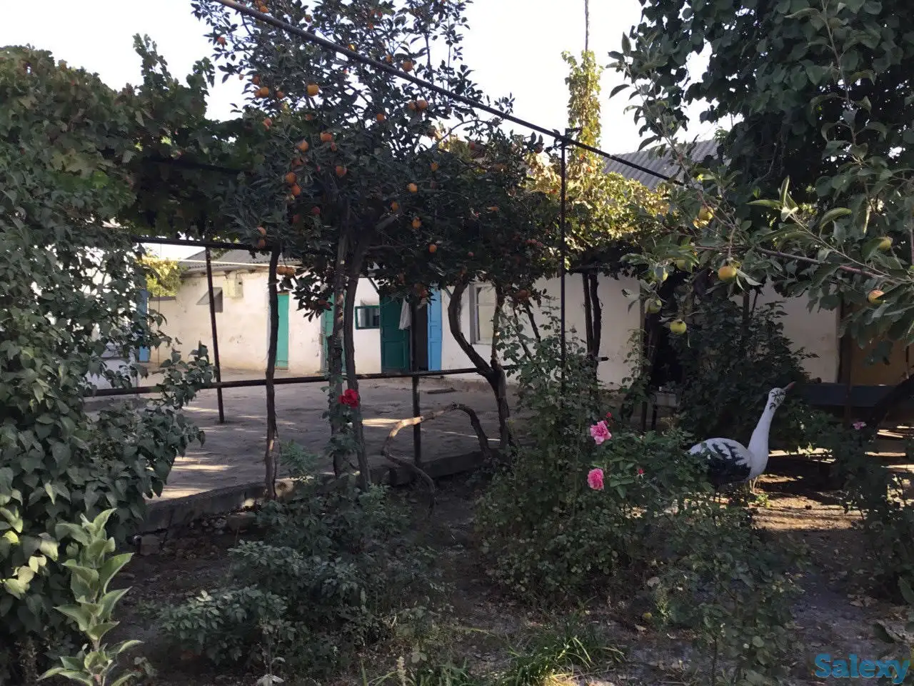 Продается дом в Tашкентской области с большим участком, гаражом и садом с фруктовыми деревьями, фотография 2