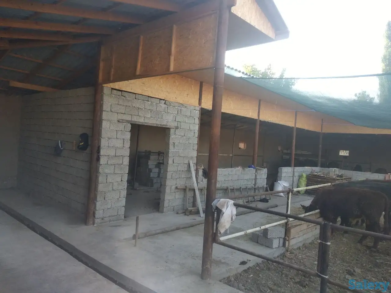 Продажа Ферма Дача, ТашОбл Юкори Чирчик Янги Бозор дахаси, фотография 3