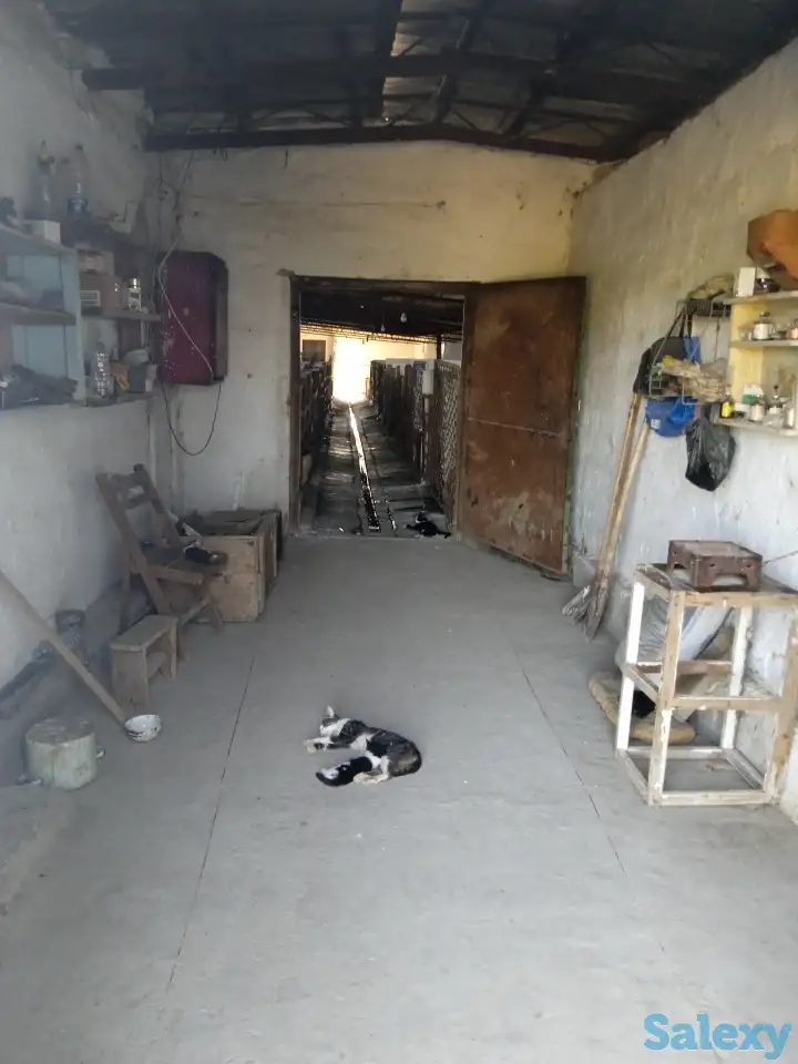 Продается ферма, фотография 4