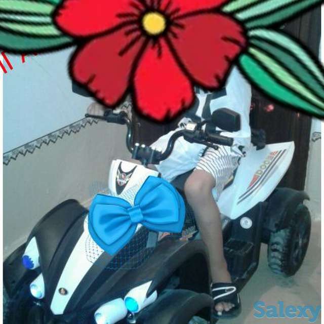 Квадрацикл, фотография 1