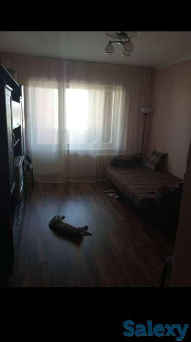 Юнусабад 1/4/4 Галерейка, фотография 1
