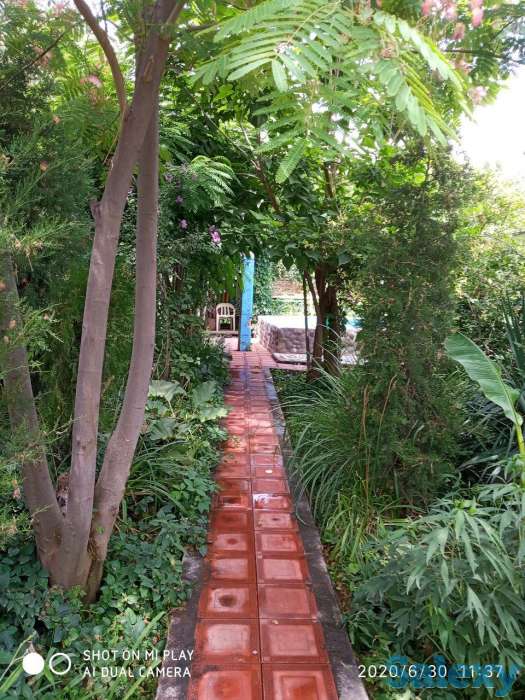 Суточно Дача со всеми условиями. Гольф клуб 4 км., фотография 14