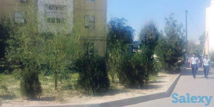 4/1/9 на корасу 6 квартира продаётся, мирзо улугбекский р-н, фотография 3