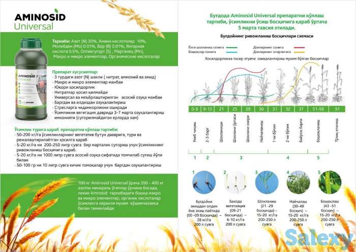 Юқори сифатли хосил етиштирмоқчимисиз?  Aminosid инновацион суюқ комплекс ўғитдан фойдаланинг., фотография 6
