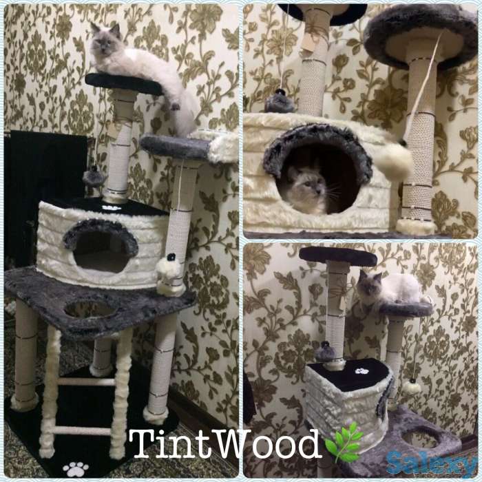 Когтеточка для кошки. Игровой комплекс для кошки. Дом для кошки., фотография 9