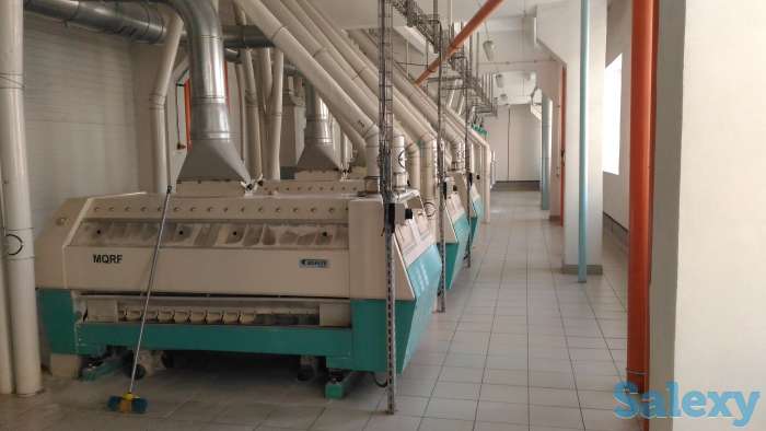 Увеличение выхода и улучшение качества муки, фотография 4