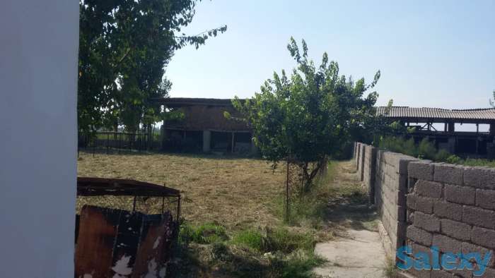Продается дом в районе Янгихает махалла Джалоир, фотография 11