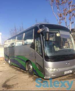 услуни автобус и минибус, фотография 3