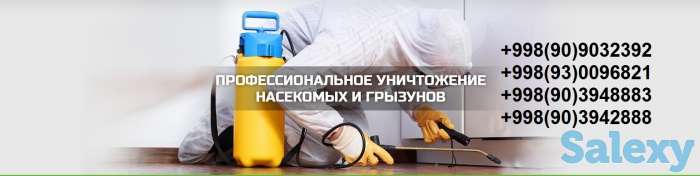 Компания 